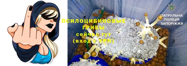 прущая мука Богданович